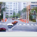 복수계룡 이미지