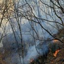 김삿갓면-8 이미지