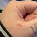 미견미묘 이미지