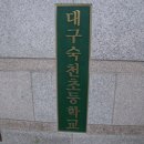 닥나무 노거수의 운명(대구숙천초등학교) 이미지