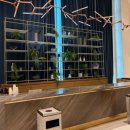 임방울대로 | 광주 드메르 웨딩홀 라비엔홀 리모델링 후기 Ι 단독홀, 일자 버진로드, 로비까지 완벽 정리