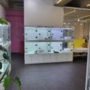 일산고양이분양&미용 반하나캣 | 새식구 뚜뚜 일산고양이분양 샵 반하나캣에서 만난 후기