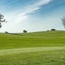 파인비치 이미지