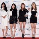 달샤벳 카카오 검색결과