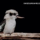 의료법인 윤재의료재단 이미지