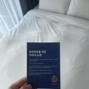 드렁큰쉐프s | 해운대 가성비호텔 블루스토리호텔 하프오션뷰 조식