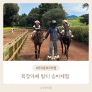 주신목장 | 제주 어린이 승마체험 목장카페 밭디 내돈내산 후기