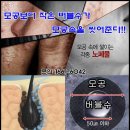 마이크로버블샤워기 프렐클링 연수기 추천~ 이미지