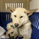 수출대로-36 이미지