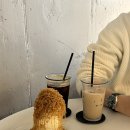 시너리 - 태안군 백화로 121-65 | 시너리