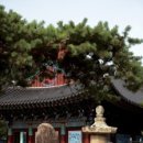올댓플랜 창