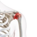 동해튼튼마취통증의학과의원 이미지