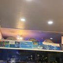 아쿠아춘천닭갈비 | 찐 수족관이 있는 포항 문덕 맛집 '아쿠아 춘천 닭갈비' 재방문 후기