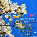 꽃피는 봄날 이미지