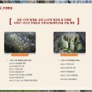 힐스테이스 사하역 이미지