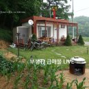 원정농장 Daum카페