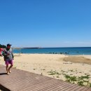 죽도해수욕장 야영장 이미지