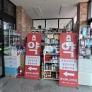 대곡농업협동조합 하나로마트 | 제주 함덕농협 하나로마트 추천! 제주 로컬푸드와 싱싱한 자리돔·생물한치 장보기