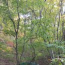 약사전약수터 이미지