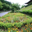 성불산자연휴양림 캠핑장 이미지