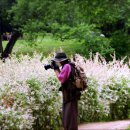 숲의하루 이미지