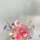 설레화
