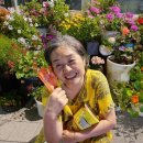 당진워터프리아 이미지