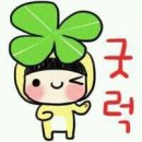 556 이미지