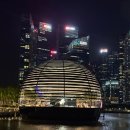 남측브릿지(우) 화장실 | 싱가포르 스펙트라쇼 위치 명당 마리나베이샌즈 분수쇼 택시타는 곳