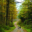육림축산 이미지
