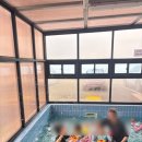 선재유일390 이미지