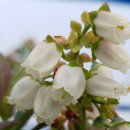 성수문량길 이미지