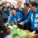 다이소 건너편 횡단보도 이미지