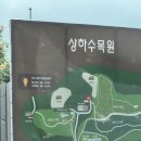 동성푸드 | [광주근교 아이와 갈만한 곳] 전북 고창 상하농원 파머스 빌리지 수영장 후기! 여름이었다
