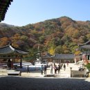 용문사