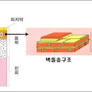 피부장벽에서 가장 중요한 세라마이드 이미지