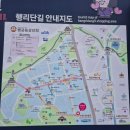 신풍 | 수원 행궁동 맛집 피자 로우파이브 신풍 옥수수피자 리가토니 파스타 후기