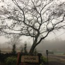 메종드롸루코 이미지