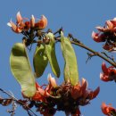 바스타드(BASTARD) 이미지