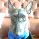 나산아파트 이미지