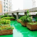 행복나루터2 이미지