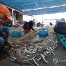 주문진항만 이미지
