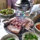 제주돈돼지 Daum카페