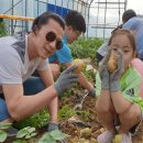 푸르내마을 이미지