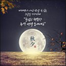 비룡태권도 이미지