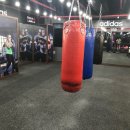 메이져 복싱짐 이미지