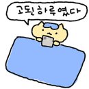 청미세꼬시 이미지