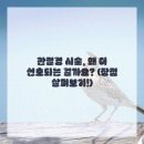 든든정형외과의원 이미지