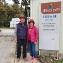 다인농장 이미지