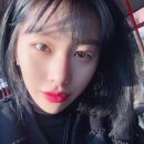 하이디그룹